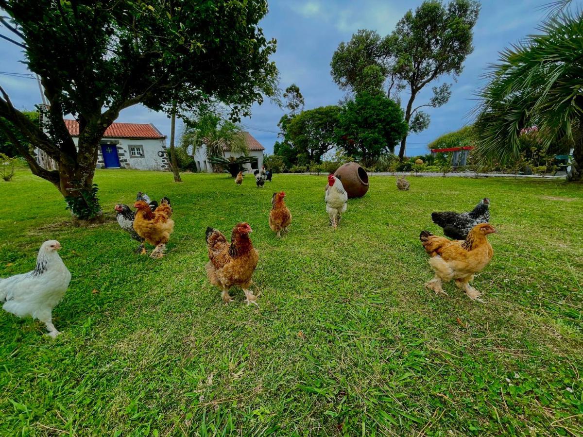 Solar Pontes Konuk evi Capelas Dış mekan fotoğraf