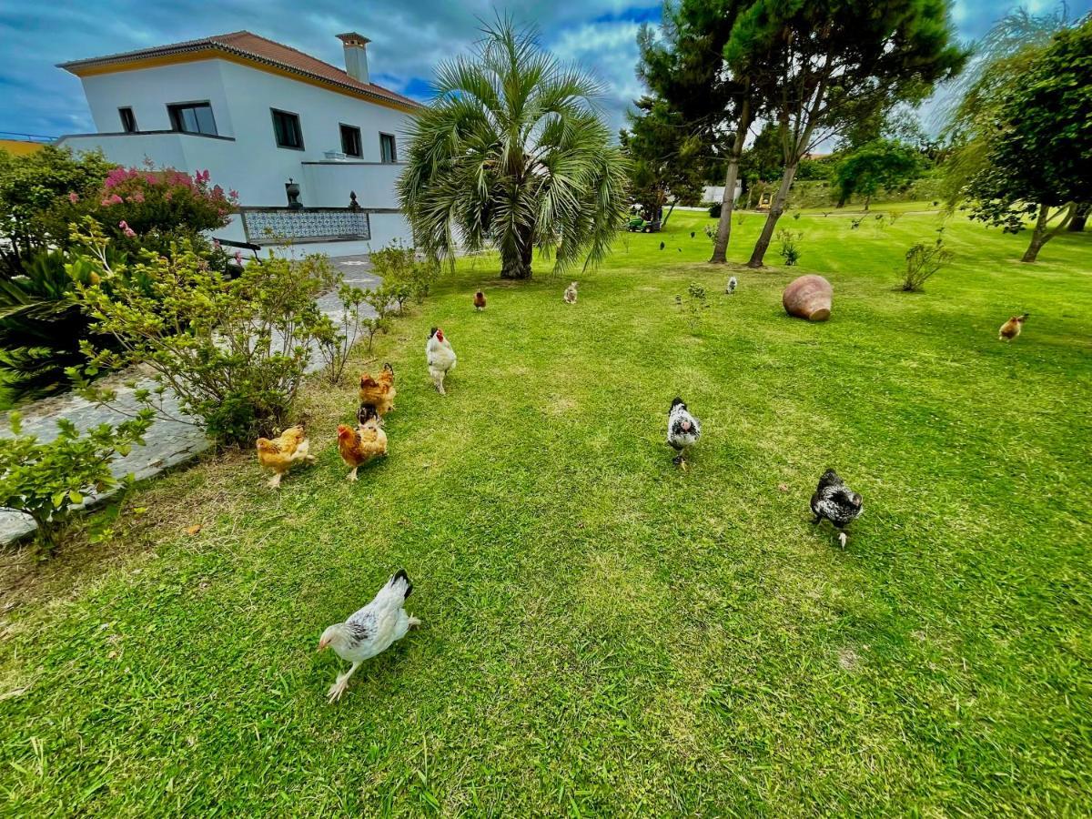 Solar Pontes Konuk evi Capelas Dış mekan fotoğraf